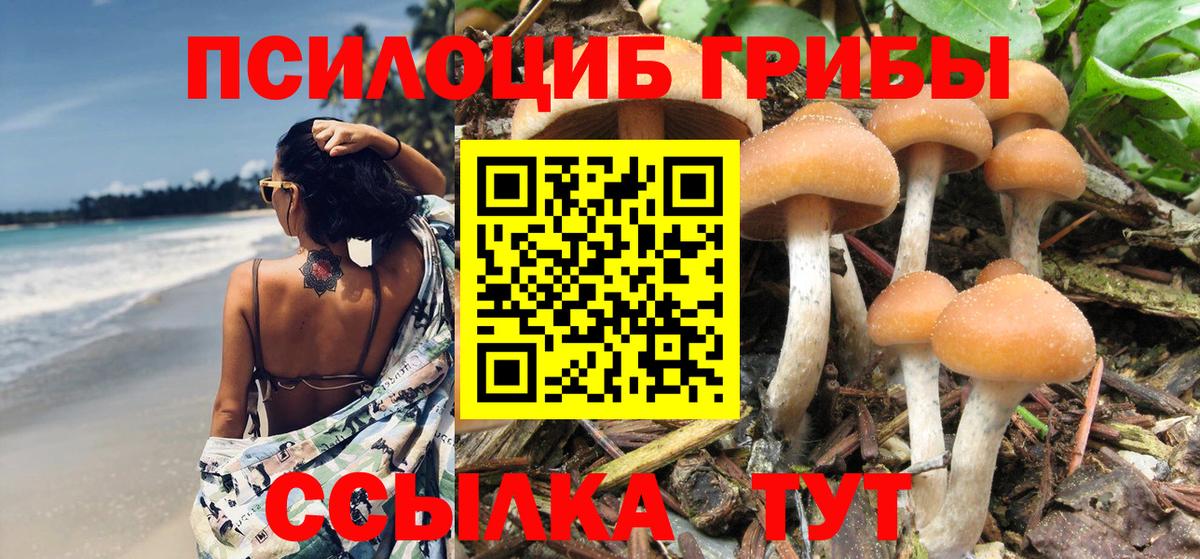 Псилоцибиновые грибы мицелий Белгород